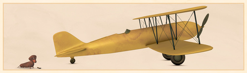 Finished Plane