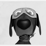 Pilot