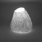 In Complex Light