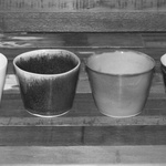 Cups With Various Glazes