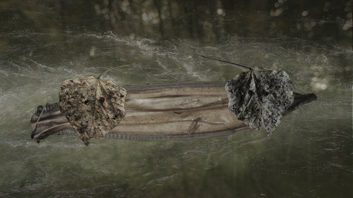 Things That Exist In One Place, Reflected In Another