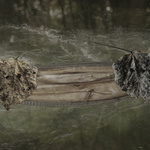 Things That Exist In One Place, Reflected In Another