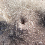 Irregular Plug In Irregular Hole