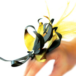 The Desire Of Freedom From The Magnificent Shackle Ring