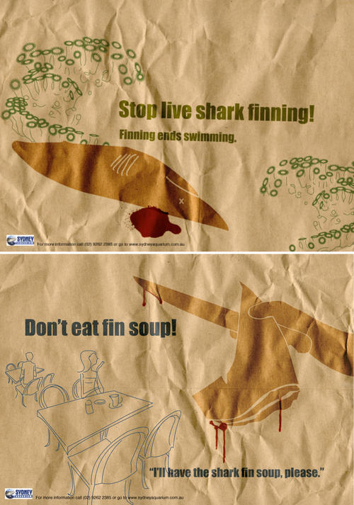 Stop Shark Finning