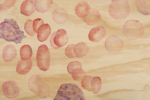 Life Source, Series I 