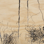 Life Source, Series Ii