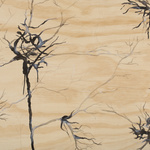 Life Source, Series Ii