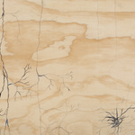 Life Source, Series Ii