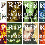 Rip! A Remix Manifesto   2011