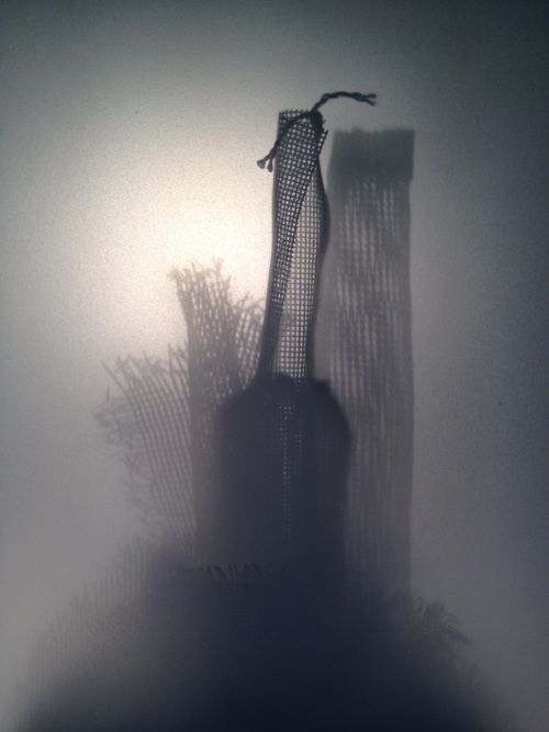 Still Life: Bottleneck I, 2012