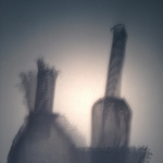 Still Life: Beyond Familiarity I, 2012