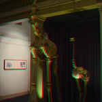 Bones