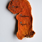 Orange Origins: North Africa, 1st Century Ce
