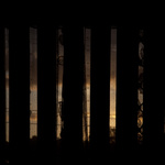 Sanctum #5