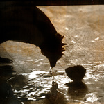 Automata 3, Albumen Print. 2012