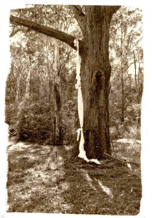 Threads Of Reality 5, Argyrotype. 2012