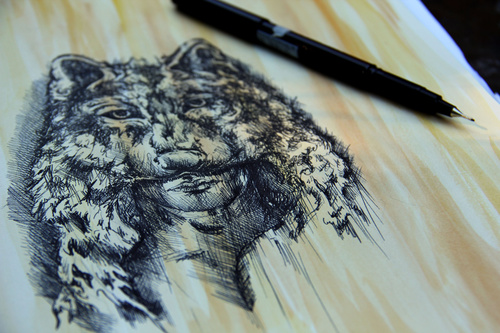 Sketch For The Preservation Of Morals