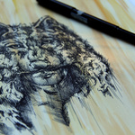 Sketch For The Preservation Of Morals