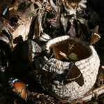 Honey Pot