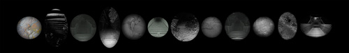 Monocular Insights