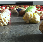 Bakers Dozen