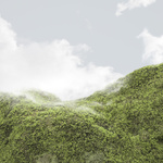 Landscape #1, 2010
