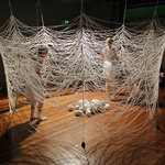 Proskino 2011