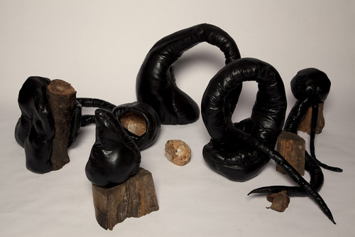 'Serpentinus Co Op' 2012; Fabric, Polyester Wadding, Thread, Found Wood, Paperbark.