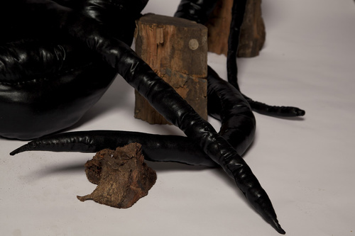 'Serpentinus Co Op' 2012 (Detail); Fabric, Polyester Wadding, Thread, Found Wood, Paperbark.
