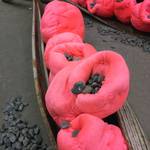 'Porous Crew' 2012 (Detail); Palm Fronds, Fabric, Polyester Wadding, Thread, Marble Stones.