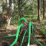 'Aliena Fungorum' 2012; Fabric, Thread, Polyester Wadding.