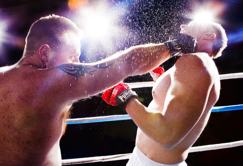 The Fight