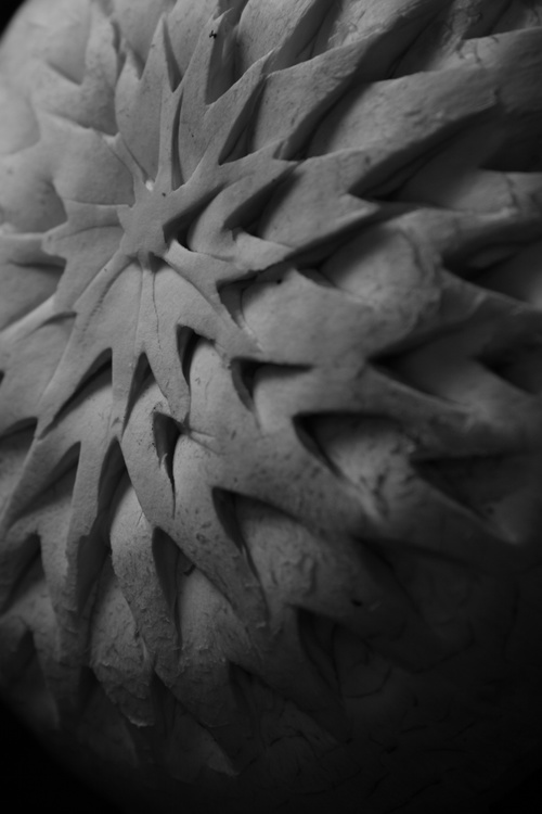 The Mushroom