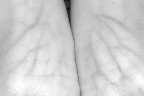 Body Scapes #2