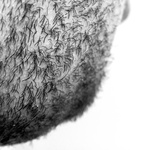 Body Scapes #3