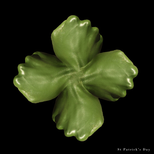 2013 St Patrick's Day