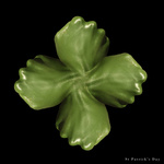 2013 St Patrick's Day