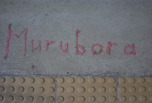 Murubora / Maroubra