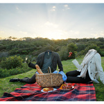 Parties Without People   Picnic