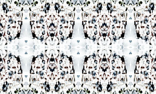 Skin Cathedral 1