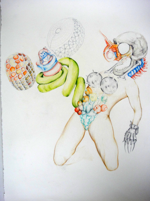 Fictional Still Life