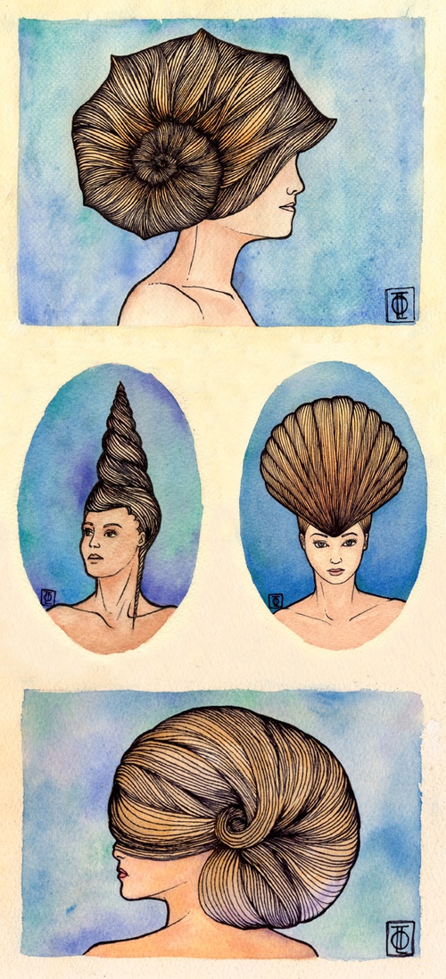 Shell Ladies (Series)