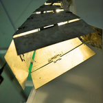 'Staged' Light