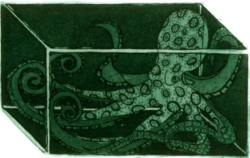 "Octopus" 2012 