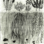 "Roots" 2011