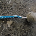 Toothbrush