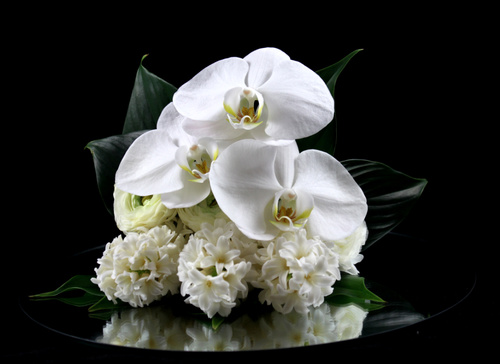 The Arrangement 