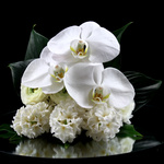 The Arrangement 