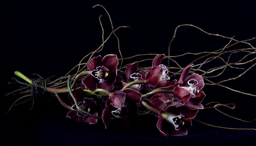 The Arrangement 
